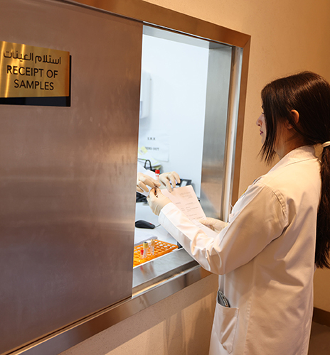 Our LAB services